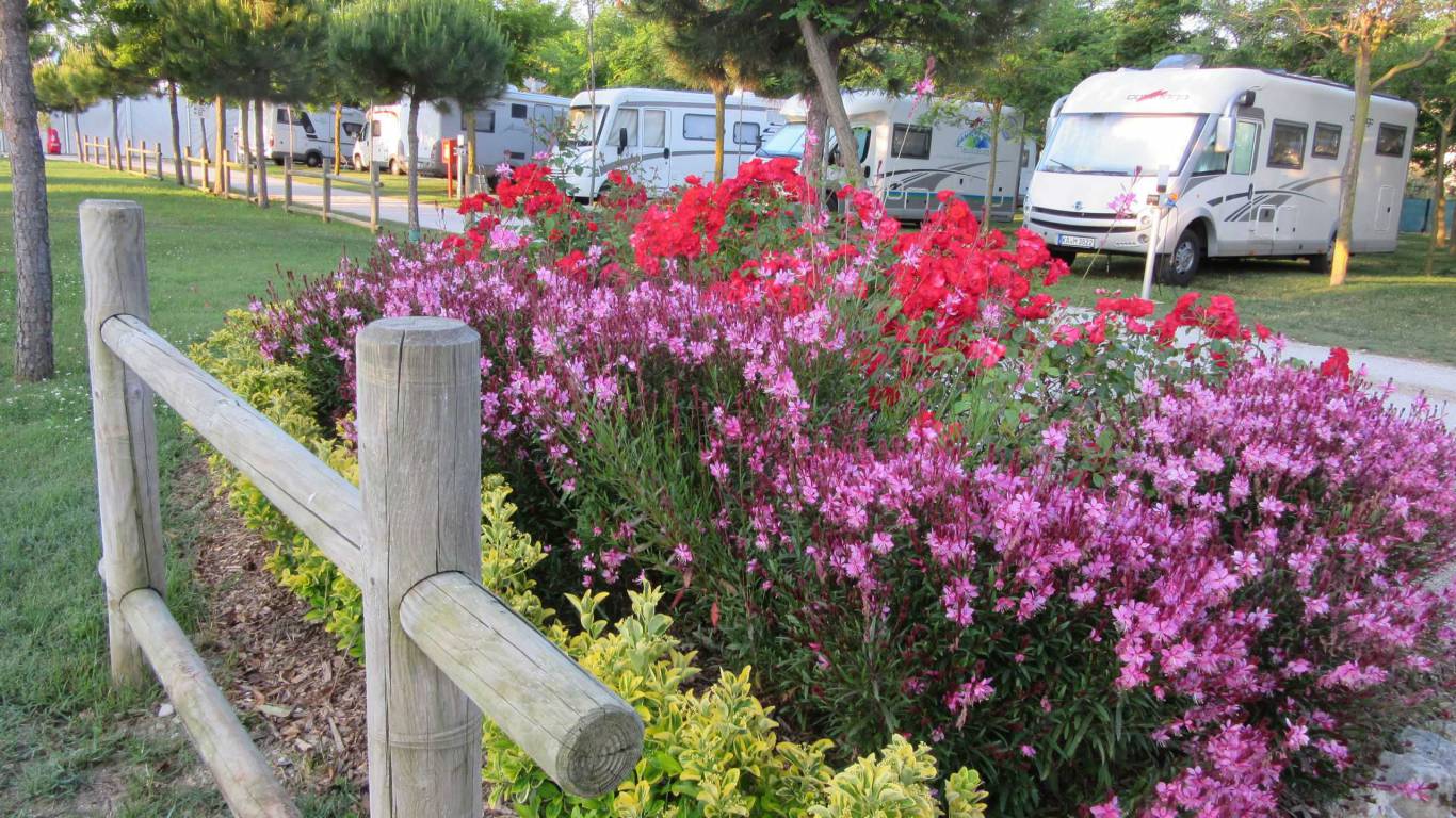 Foto Pineto Beach Camping Foto ufficiale Pineto Beach Camping