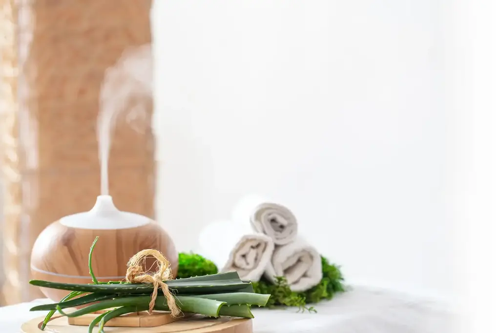 Kenntnisse im Spa-, Spa- und Wellness-Center-Management Scidoo-Verwaltungssoftware für SPA, Wellnesszentren und Behandlungen
