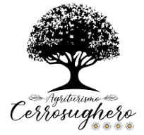 Prenotazione Online