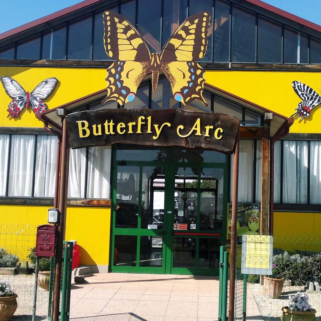 butterflyarc