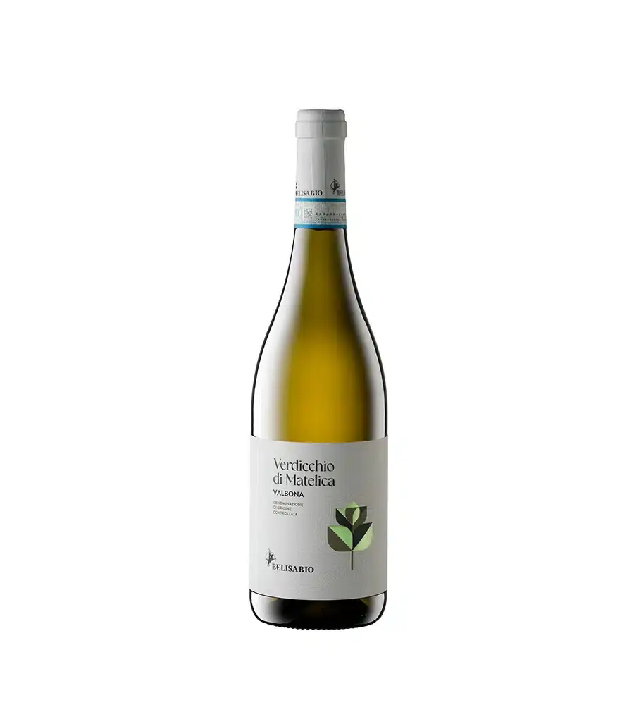 VERDICCHIO DI MATELICA BELISARIO VALBONA