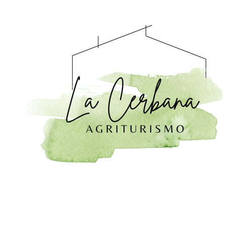 Prenotazione Online